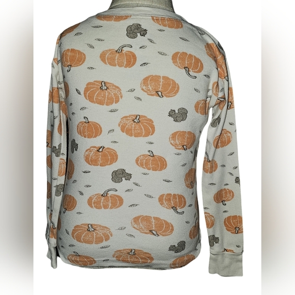 Little Planet by Carter's Boy Girl Organic Cotton PJs 2pc Harvest Pumpkins Sz 3T - Picture 3 of 16